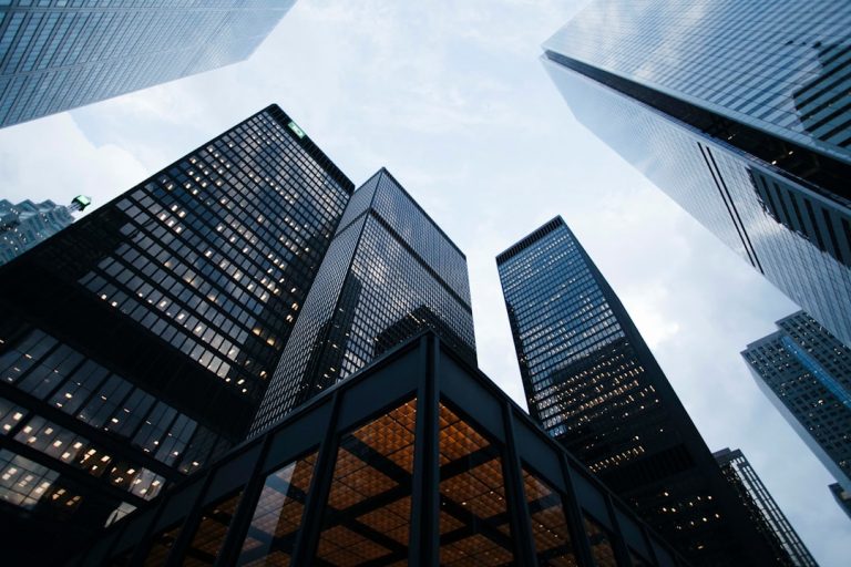 Compétences numériques et croissance économique améliorée.